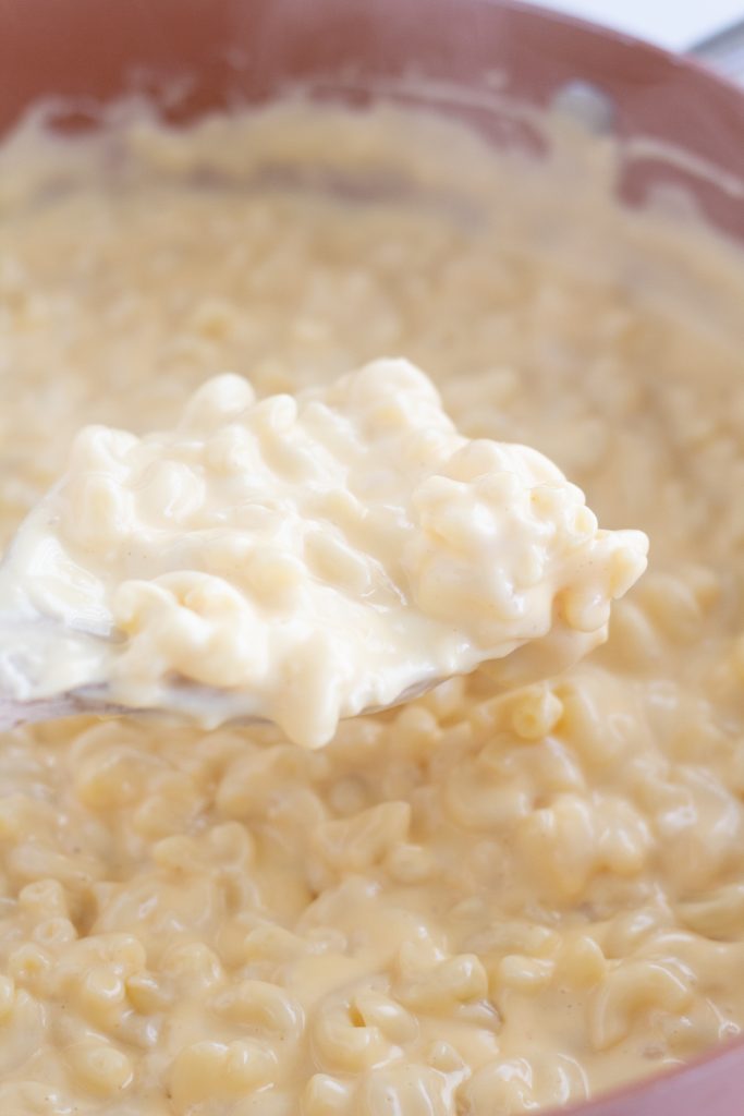 The best Creamy baked macaroni and cheese