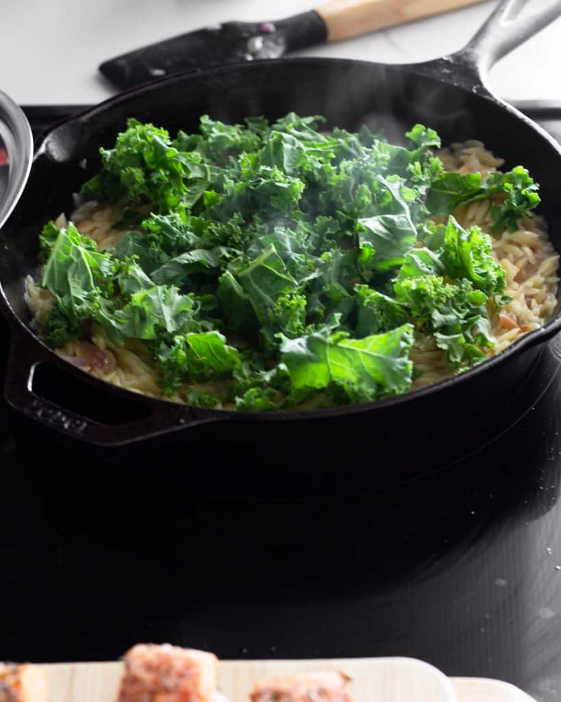 Creamy Parmesan Orzo and Salmon