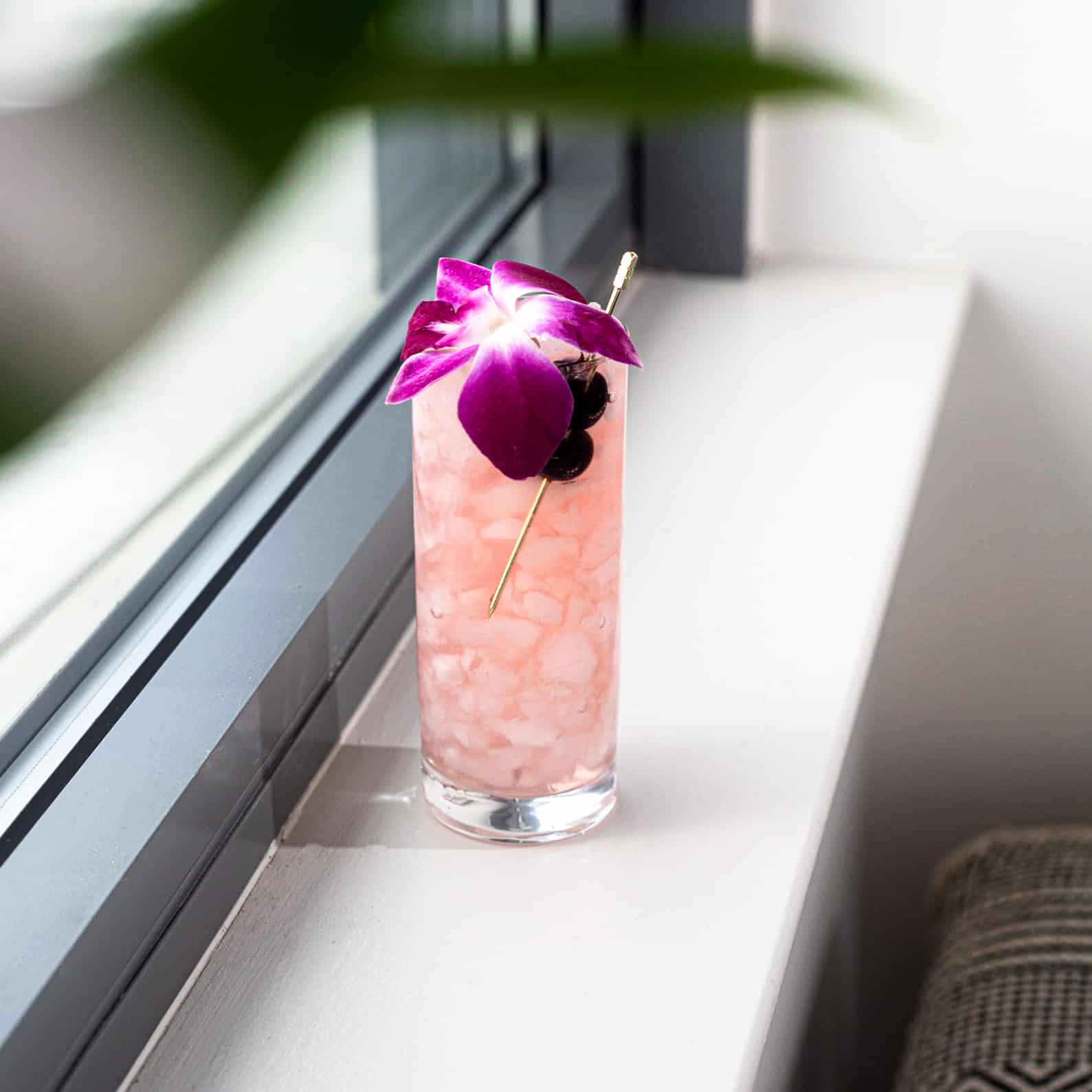 Chambord Gin and tonic